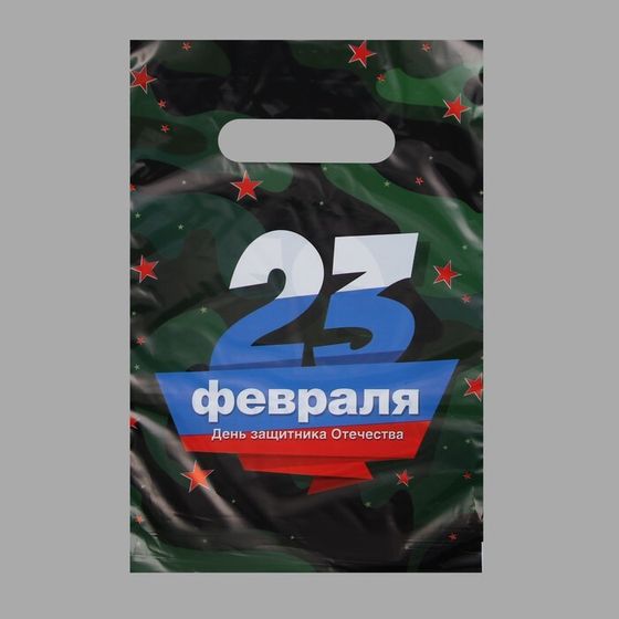 Пакет &quot;23 февраля&quot;, полиэтиленовый, с вырубной ручкой, 20 х 30 см, 30 мк