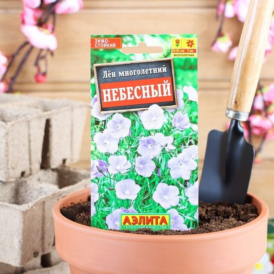 Семена цветов Лен многолетний &quot;Небесный&quot;, Мн, 0,5 г