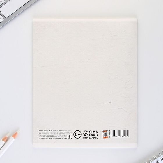 !Предметная тетрадь, 48 листов, 3 штуки «ИСТОРИЧЕСКИЕ ЛИЧНОСТИ», со справочными материалами «Геометрия»