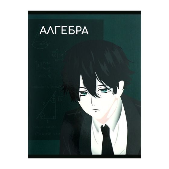 Тетрадь предметная 48 листов в клетку Calligrata, «Анимэ. Алгебра», со справочным материалом, обложка мелованный картон, блок офсет