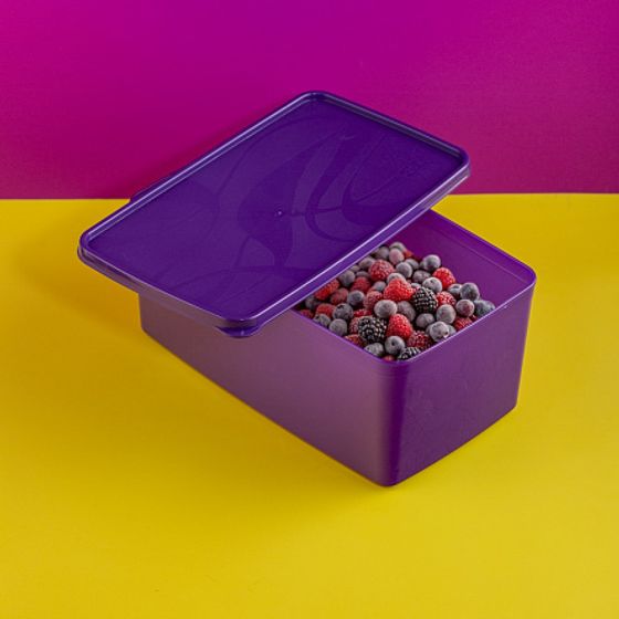 Контейнер для заморозки ALASKA 3.5л фиолетовый