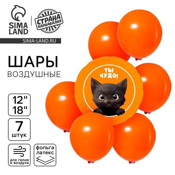 Шары воздушные, набор «Котик. Ты чудо», 7 шт.