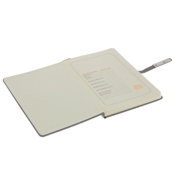 Набор из блокнота и ручки, Д19,5 Ш24,5 В4 см