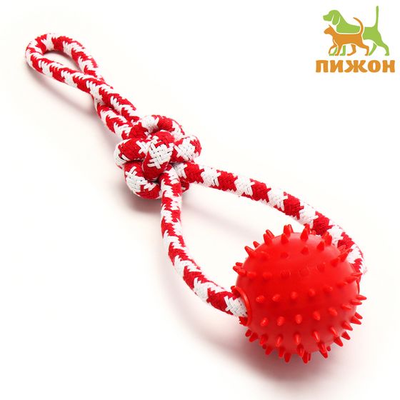 Игрушка канатная &quot;Узел с массажным шариком&quot;, до 31 см, до 65 г, микс цветов