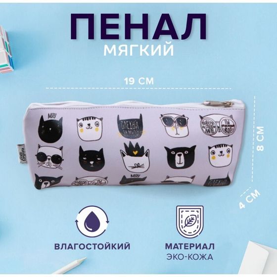 Пенал мягкий 1 отделение, 80 х 190 х 40 мм, объёмный, искусственная кожа, &quot;Следуй за мной&quot;