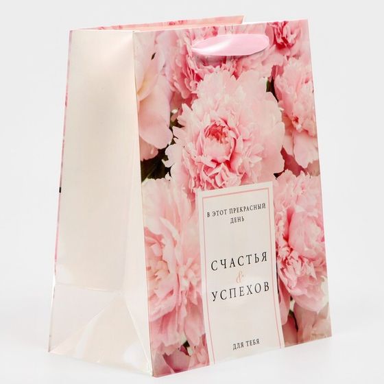 !Пакет ламинированный 2 штуки «Счастья и успехов» радужная голография, MS 18 х 23 х 10 см