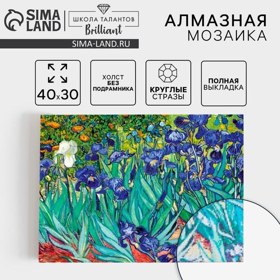 Алмазная мозаика с полным заполнением на холсте «Ирисы», 30 х 40 см