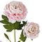 Цветок искусственный с каплями росы "Пион", L18 W15 H67 см