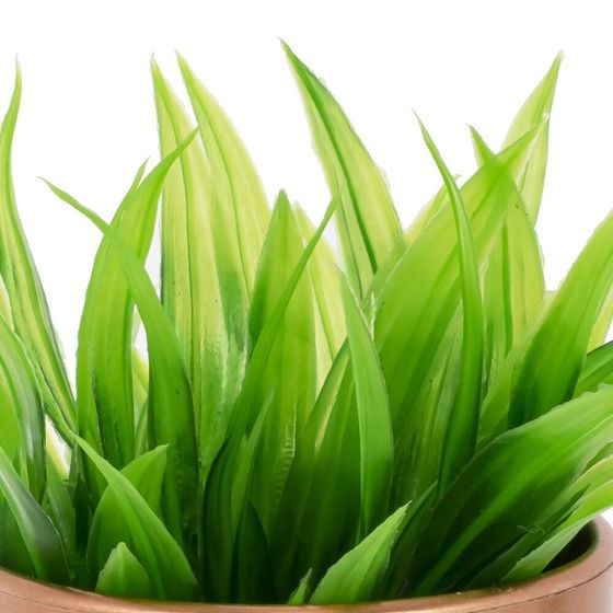 Цветочная композиция, L7 W7 H15 см, 2в.