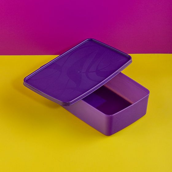 Контейнер для заморозки ALASKA 2.1л фиолетовый