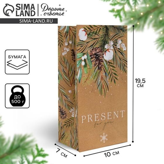 Пакет без ручек «Present for you», 10 х 19.3 х 7 см, Новый год