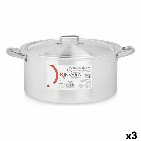 Кастрюля с крышкой Серебристый Алюминий 12,5 L (3 штук)