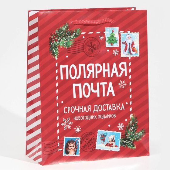 Пакет подарочный новогодний ламинированный «Полярная почта», MS 18 х 23 х 8 см, Новый год