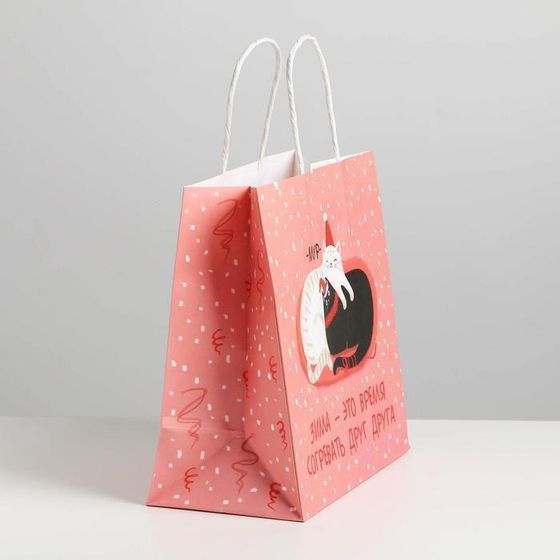 !09 Пакет подарочный (набор 3 штуки) «Время согревать», 22 × 22 × 11 см.