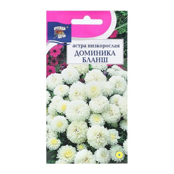 Семена цветов Астра &quot;ДОМИНИКА БЛАНШ&quot;, 0,2 г