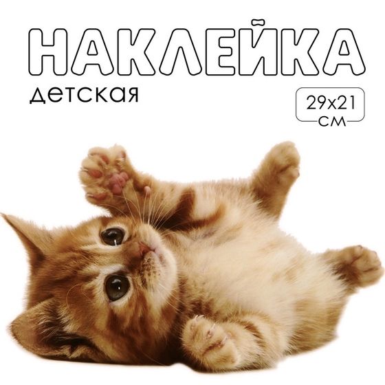 Наклейка 3Д интерьерная Котик 29*21см