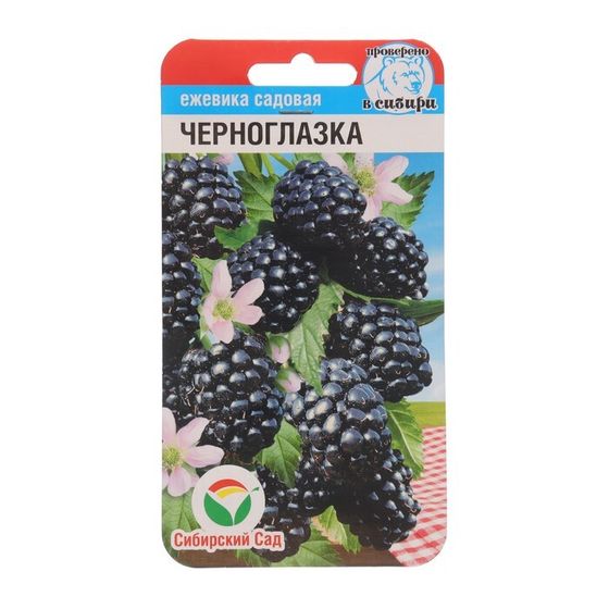 Ежевика &quot;Черноглазка&quot;, 10 шт