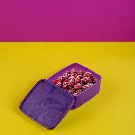 Контейнер для заморозки ALASKA 0.65л фиолетовый