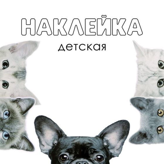 Наклейка 3Д интерьерная Домашние питомцы 57*42см