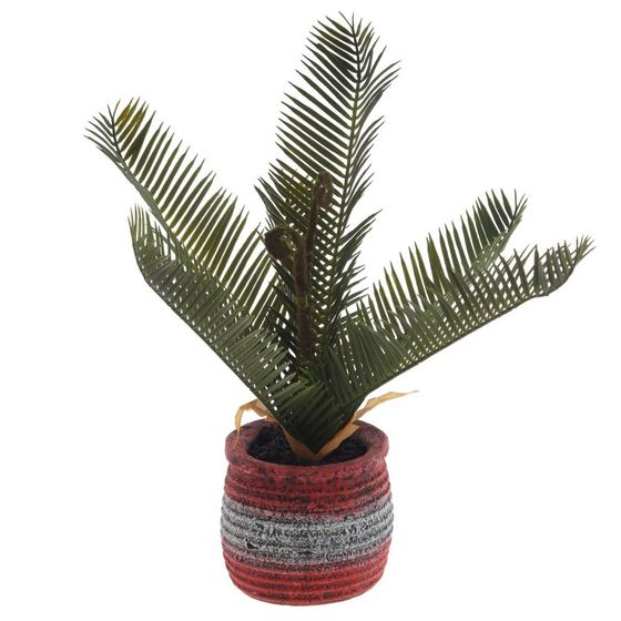 Цветочная композиция &quot;Пальма&quot;, L27 W23 H34 см, 3в.