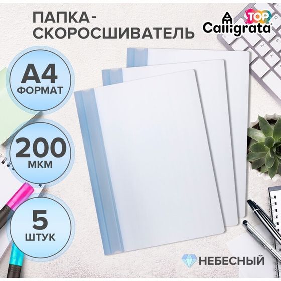 Набор папок-скоросшивателей А4, 200 мкм, Calligrata TOP Breeze, 5 штук, небесный