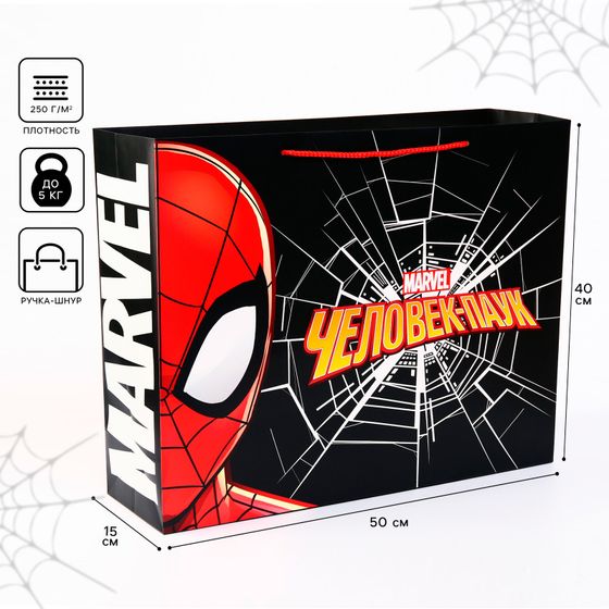 !09 Пакет ламинат горизонтальный, Человек-паук, 50 х 40 х 15 см.