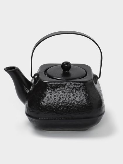 Чайник заварочный с ситом 0,85 л, Magistro Black Swan, черный