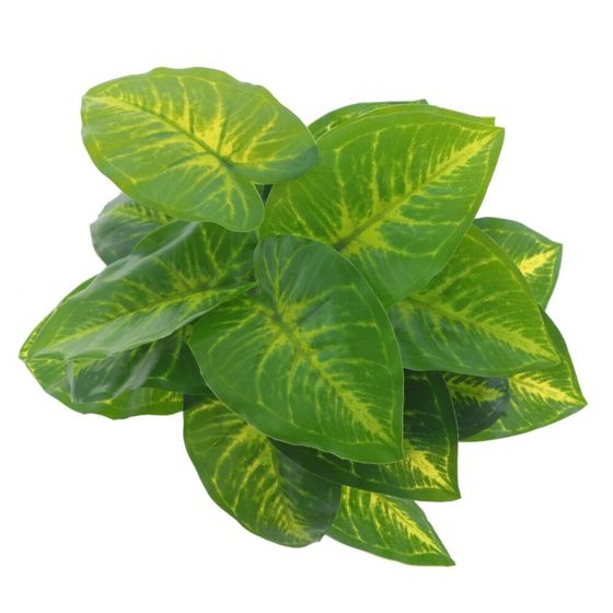 Цветочная композиция "Каладиум", L27 W27 H32 см