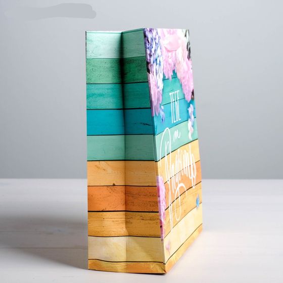 !НАБОР 2 ШТУКИ - Пакет ламинированный вертикальный «Тебе на радость», ML 23 × 27 × 8 см