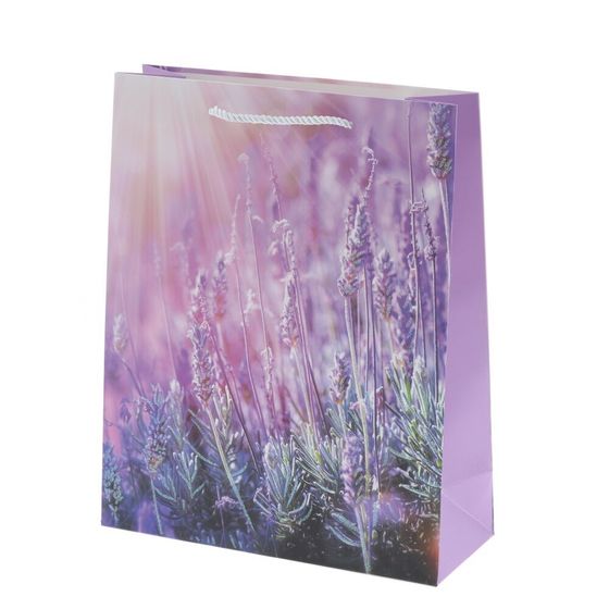 Пакет подарочный (бумага 210г/м2, блок микс 12шт), L30 W12 H41,5 см, 4в.