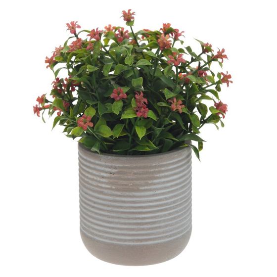 Цветочная композиция, L11 W11 H17 см, 3в.