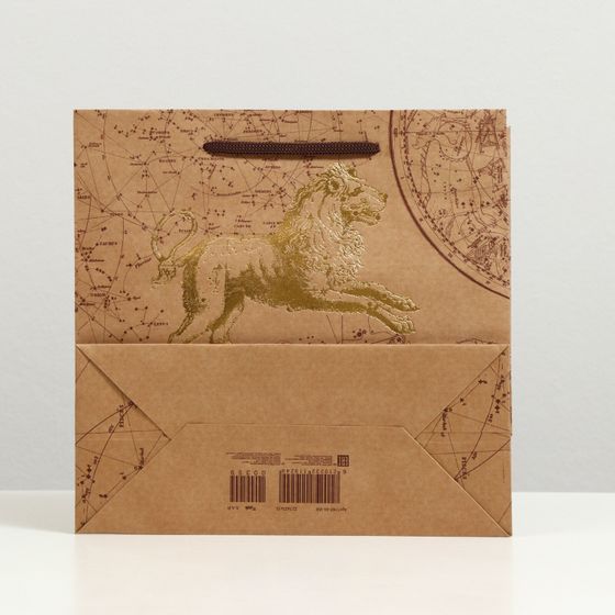 !Набор 2 штуки - Пакет подарочный "Гороскоп", крафт, 22.5 x 23 x 10 см