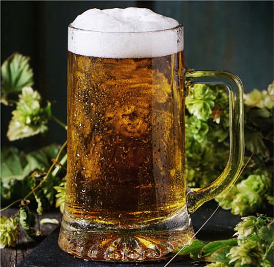 Набор кружек для пива ДРЕЗДЕН 2шт 330мл