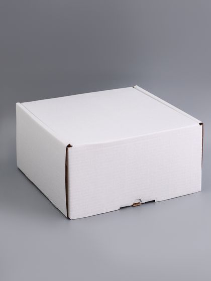 !09 Набор 2 штуки, Коробка самосборная, белая, 28×28×9 см