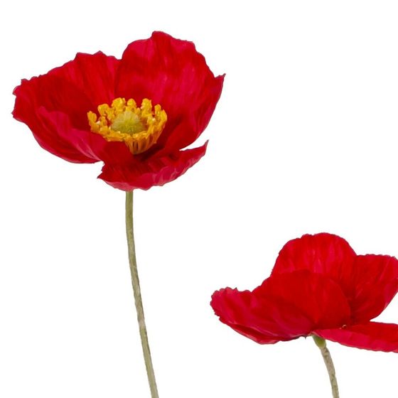 Цветок искусственный &quot;Мак&quot;, L20 W10 H60 см