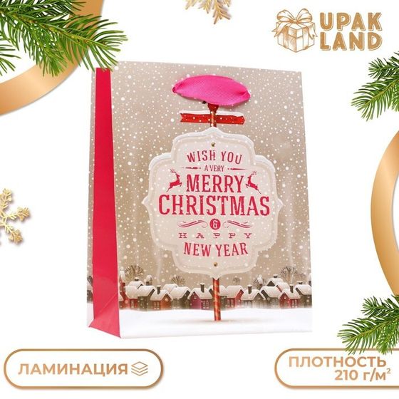 Пакет ламинированный &quot;Новогодний позитив&quot; 11,5 х 14,5 х 6 см