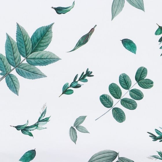 !09 Бумага (набор 5 листов) упаковочная глянцевая «Листочки», 70 × 100 см.