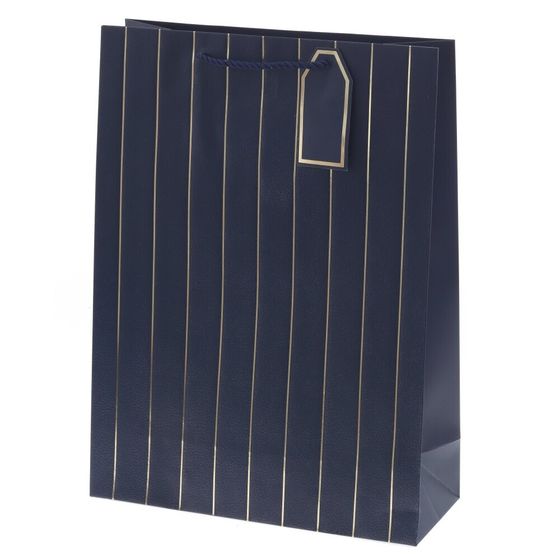 Пакет подарочный (бумага 210г/м2, блок 12шт), L31 W12 H42 см, 9в.