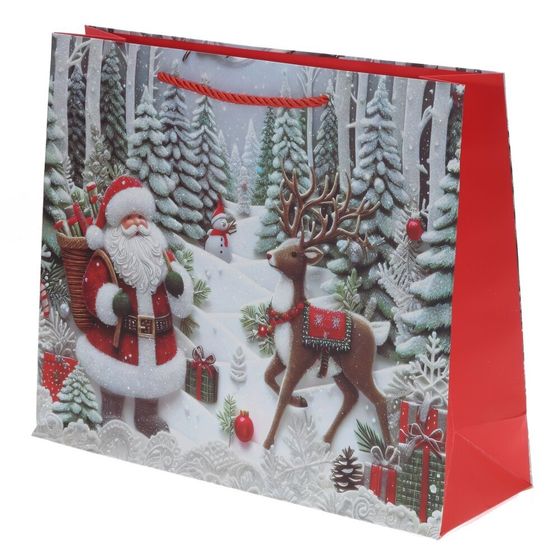 Пакет подарочный (бумага 210г/м2, блок 12шт), L30 W12 H40 см, 4в.