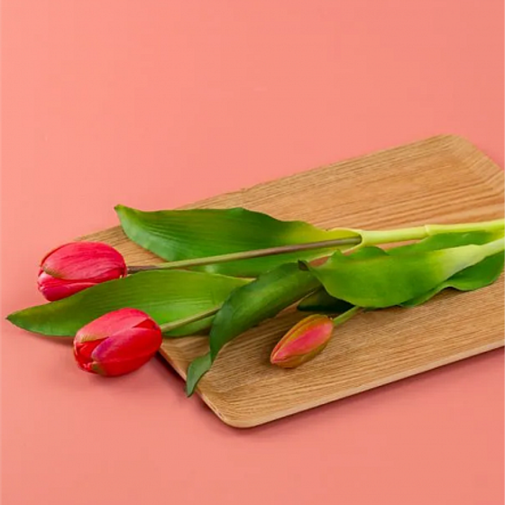 Поднос плоский NON-SLIP светлый 27х20см