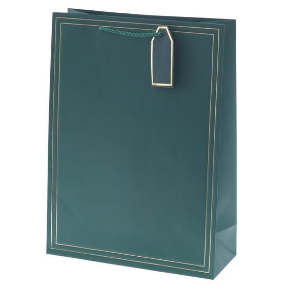 Пакет подарочный (бумага 210г/м2, блок 12шт), L31 W12 H42 см, 10в.