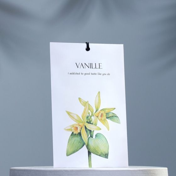 Саше ароматическое &quot;Vanille&quot;, ваниль, 11 г