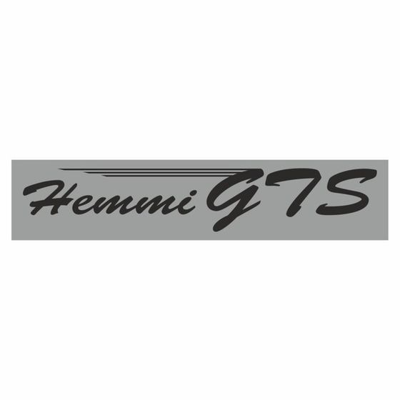 Полоса на лобовое стекло &quot;Hemmi GTS&quot;, серебро, 1300 х 170 мм