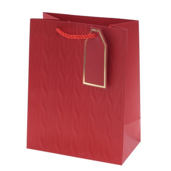 Пакет подарочный (бумага 210г/м2, блок 12шт), L18 W10 H23 см, 8в.