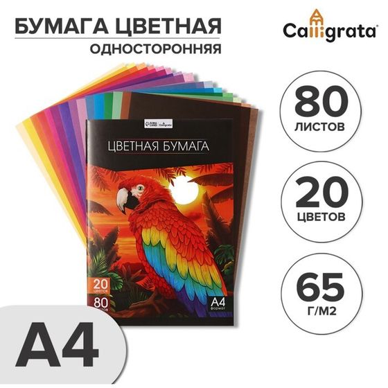 Бумага цветная А4, 80 листов, 20 цветов Calligrata TOP, офсет, в папке