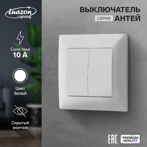 Выключатель Luazon Lighting &quot;Антей&quot;, 10 А, 2 клавиши, скрытый, белый