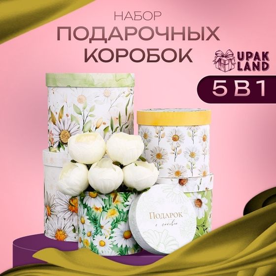 Набор шляпных коробок для цветов 5 в 1, упаковка подарочная, «Ромашки», 16 × 14 см - 22×19.5 см