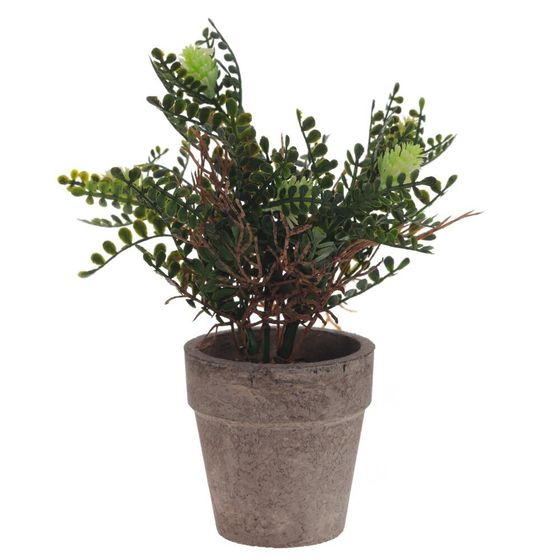 Цветочная композиция, L9 W9 H18 см, 5в.