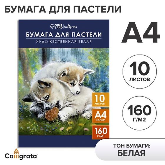 Бумага для пастели А4, 10 листов &quot;Щенки&quot;, блок 160 г/м2, в папке