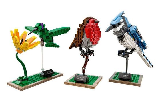 LEGO Ideas Набор птиц 21301